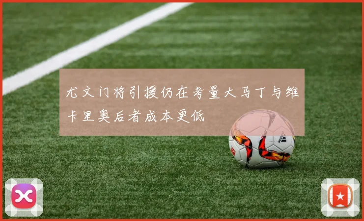 尤文门将引援仍在考量大马丁与维卡里奥后者成本更低