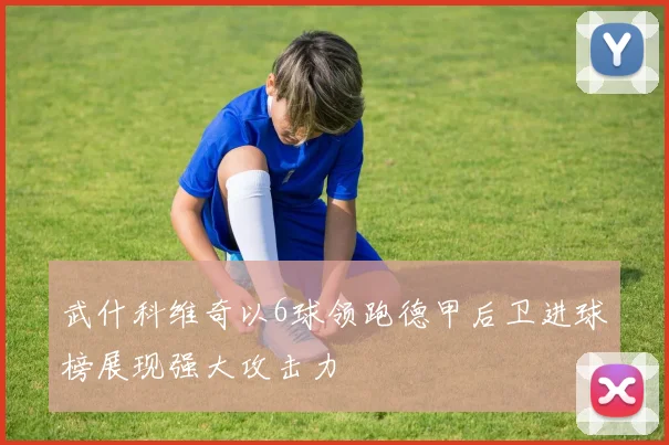 武什科维奇以6球领跑德甲后卫进球榜展现强大攻击力