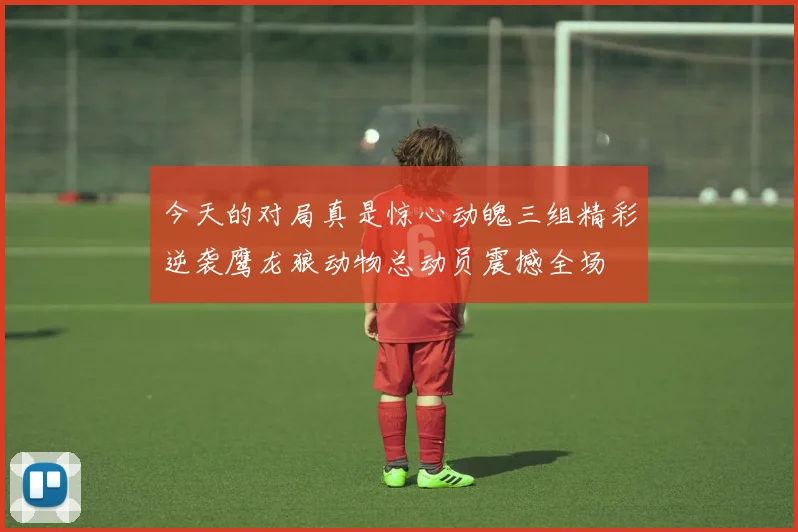 今天的对局真是惊心动魄三组精彩逆袭鹰龙狼动物总动员震撼全场