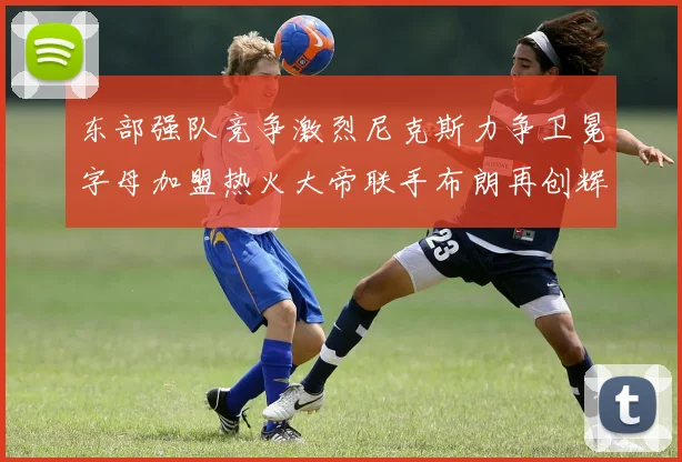 东部强队竞争激烈尼克斯力争卫冕字母加盟热火大帝联手布朗再创辉煌