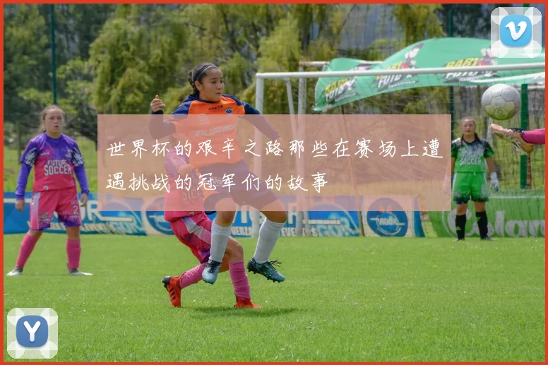 世界杯的艰辛之路那些在赛场上遭遇挑战的冠军们的故事