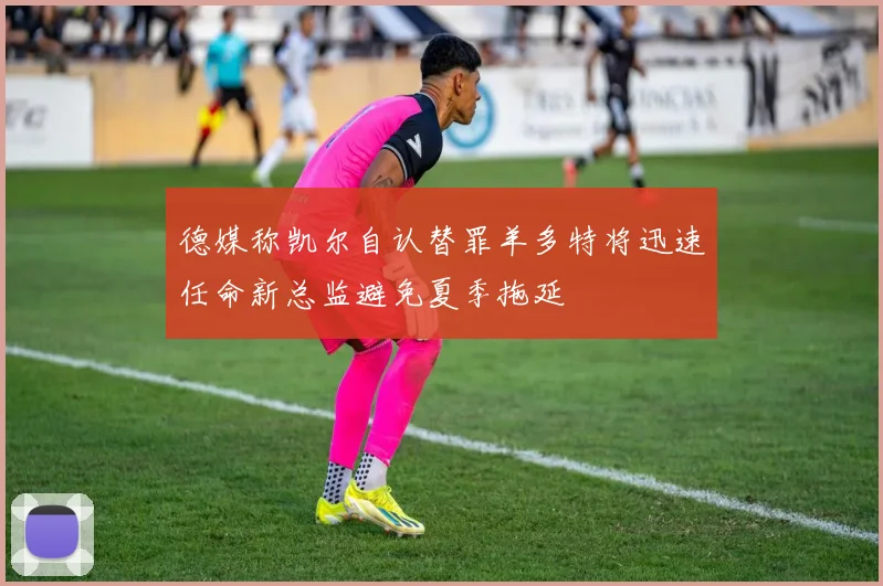 德媒称凯尔自认替罪羊多特将迅速任命新总监避免夏季拖延